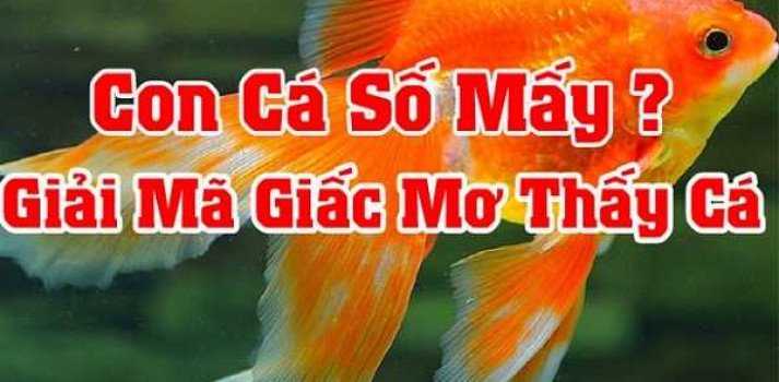 giấc mơ thấy cá